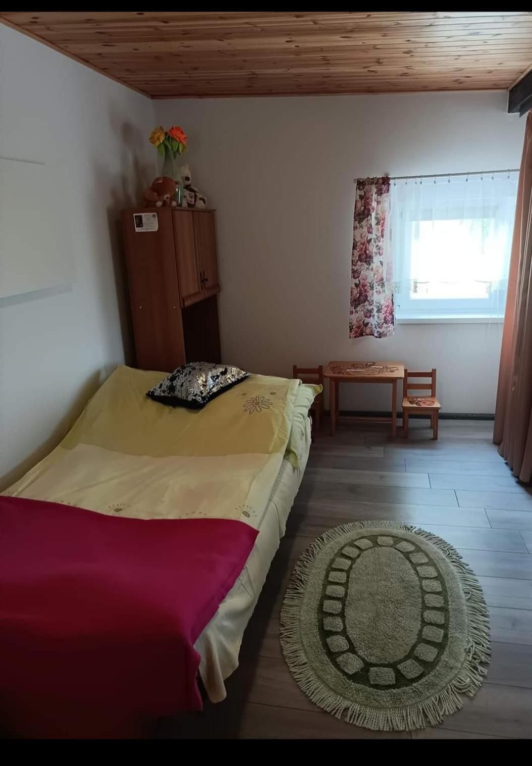 Wczasy Na Kaszubach U Hani Wiele Kültér fotó