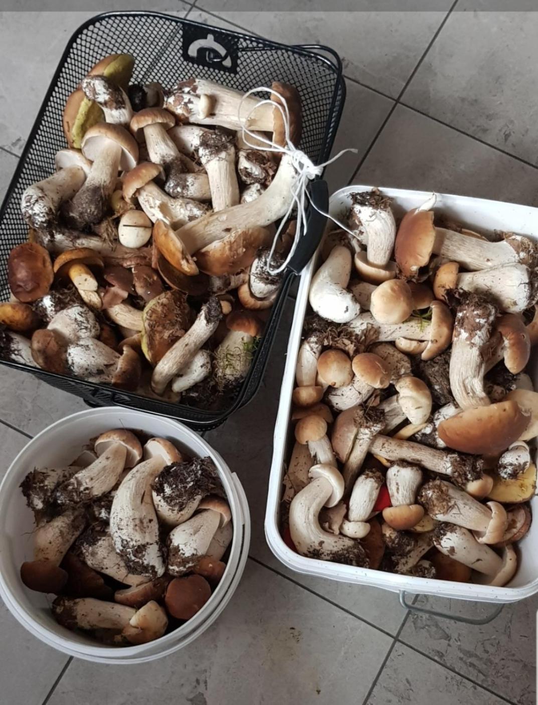 Wczasy Na Kaszubach U Hani Wiele Kültér fotó