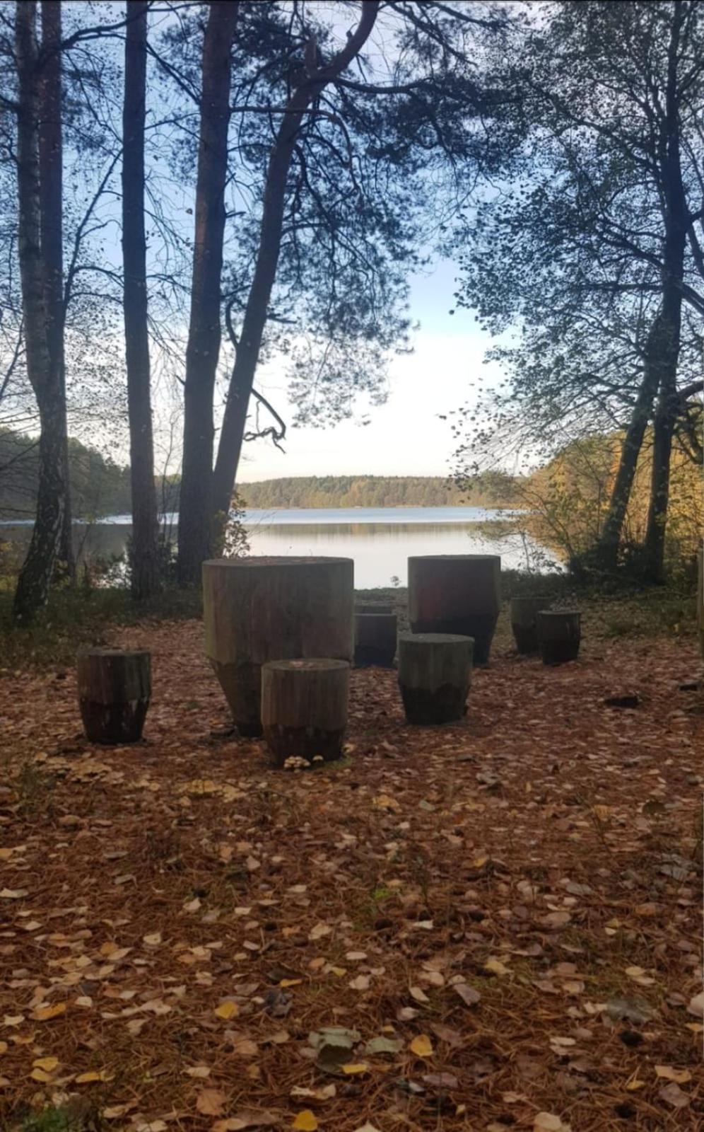 Wczasy Na Kaszubach U Hani Wiele Kültér fotó